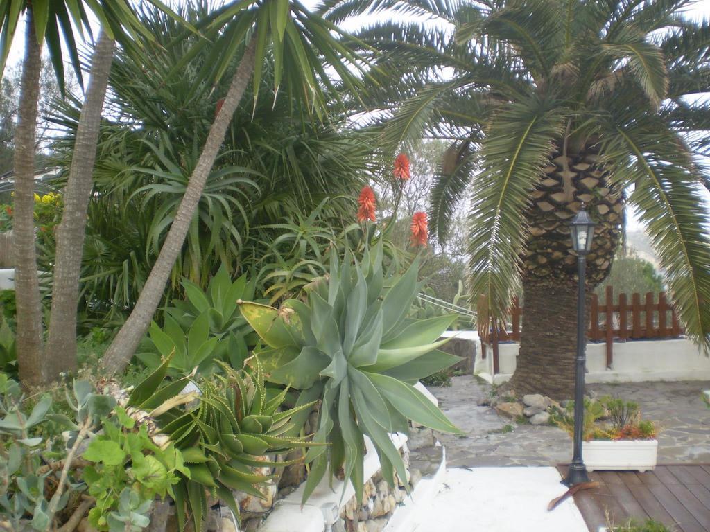 L'Incanto Di Cala Feola Ponza Exteriör bild